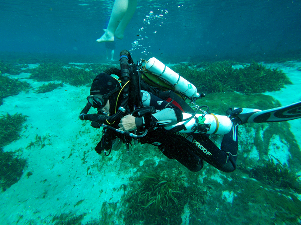 Dayo Scuba Center LLC, Orlando Florida www.dayo.com