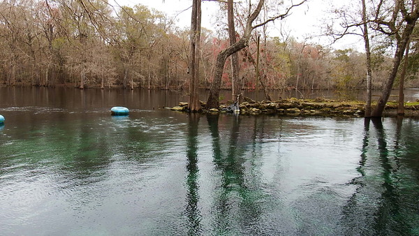 Dayo Scuba Center LLC, Orlando Florida www.dayo.com