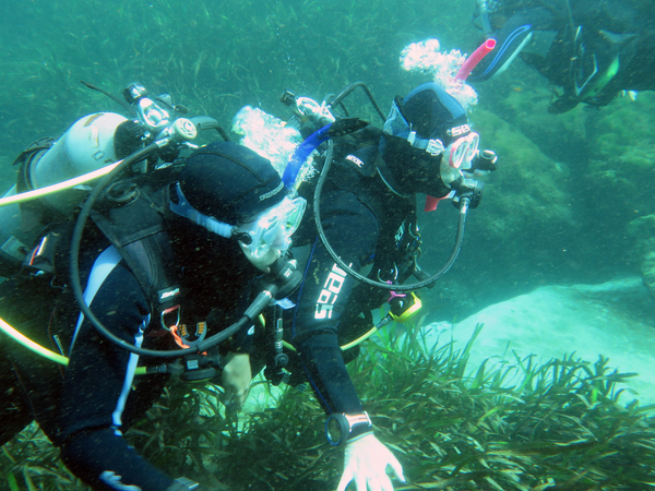 Dayo Scuba Center LLC, Orlando Florida www.dayo.com