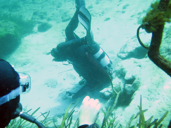 Dayo Scuba Center LLC, Orlando Florida www.dayo.com