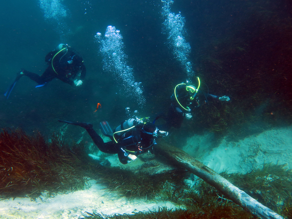 Dayo Scuba Center LLC, Orlando Florida www.dayo.com