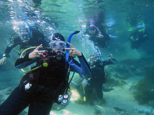 Dayo Scuba Center LLC, Orlando Florida www.dayo.com