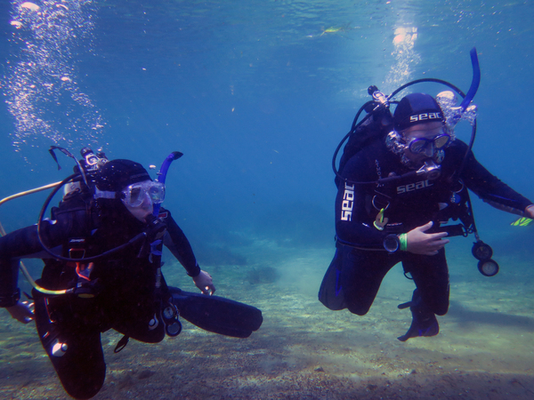 Dayo Scuba Center LLC, Orlando Florida www.dayo.com