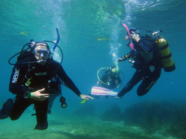 Dayo Scuba Center LLC, Orlando Florida www.dayo.com