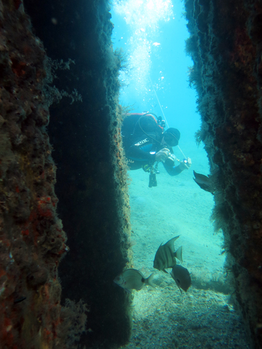 Dayo Scuba Center LLC, Orlando Florida www.dayo.com
