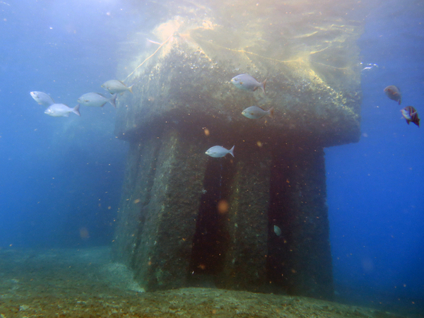 Dayo Scuba Center LLC, Orlando Florida www.dayo.com