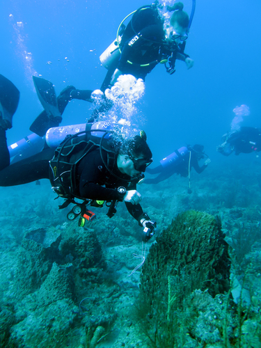 Dayo Scuba Center LLC, Orlando Florida www.dayo.com