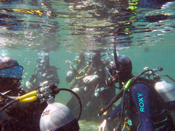 Dayo Scuba Center LLC, Orlando Florida www.dayo.com