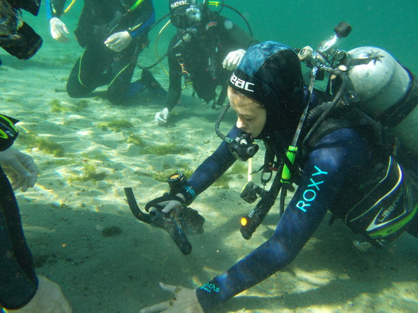 Dayo Scuba Center LLC, Orlando Florida www.dayo.com