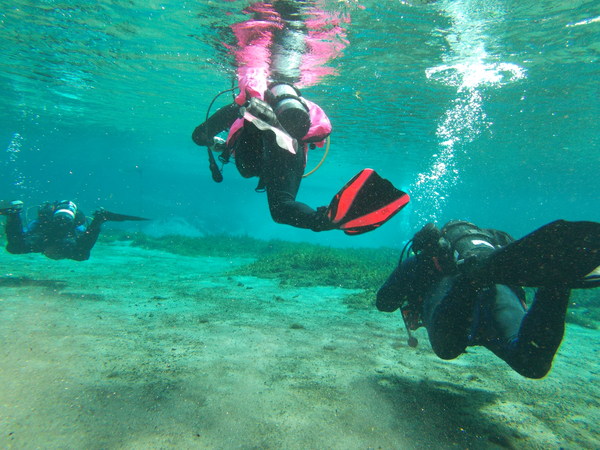 Dayo Scuba Center LLC, Orlando Florida www.dayo.com