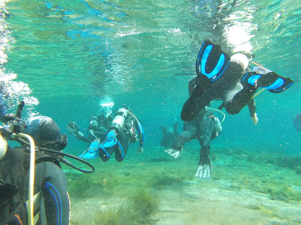Dayo Scuba Center LLC, Orlando Florida www.dayo.com
