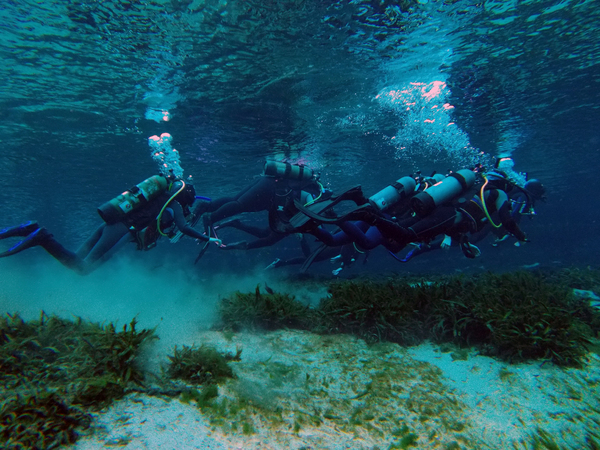 Dayo Scuba Center LLC, Orlando Florida www.dayo.com