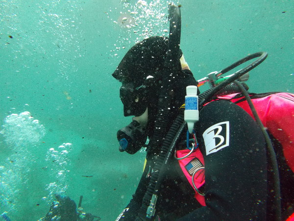 Dayo Scuba Center LLC, Orlando Florida www.dayo.com