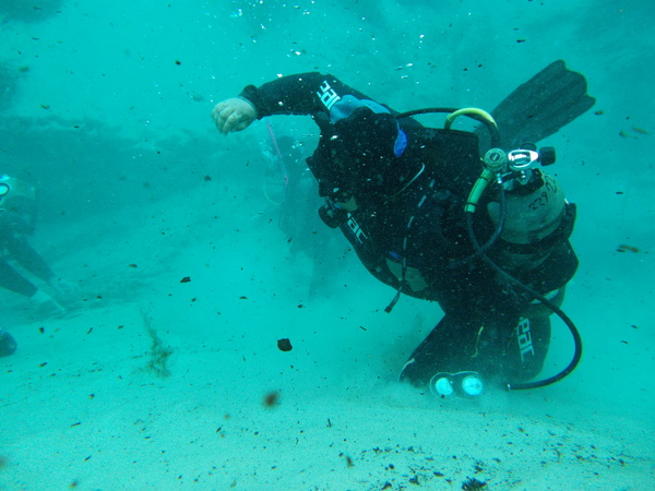 Dayo Scuba Center LLC, Orlando Florida www.dayo.com