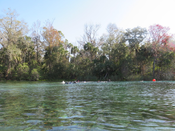 Dayo Scuba Center LLC, Orlando Florida www.dayo.com