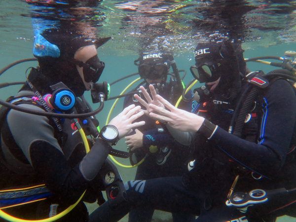 Dayo Scuba Center LLC, Orlando Florida www.dayo.com