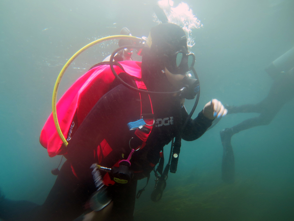 Dayo Scuba Center LLC, Orlando Florida www.dayo.com