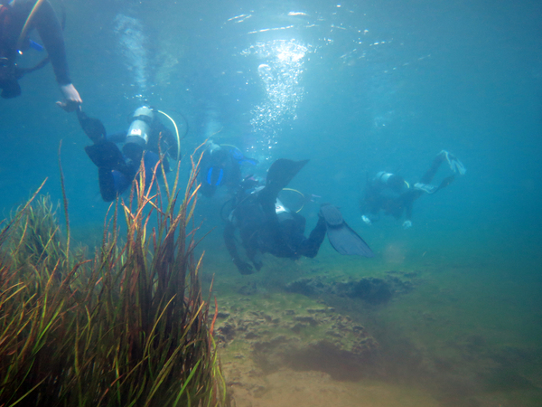 Dayo Scuba Center LLC, Orlando Florida www.dayo.com