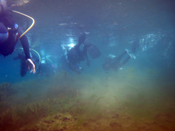 Dayo Scuba Center LLC, Orlando Florida www.dayo.com