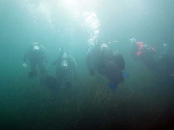 Dayo Scuba Center LLC, Orlando Florida www.dayo.com