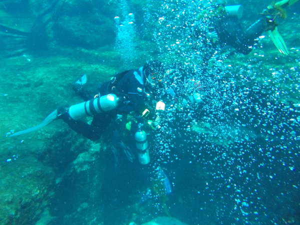 Dayo Scuba Center LLC, Orlando Florida www.dayo.com