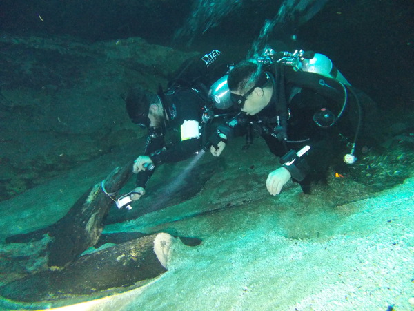 Dayo Scuba Center LLC, Orlando Florida www.dayo.com