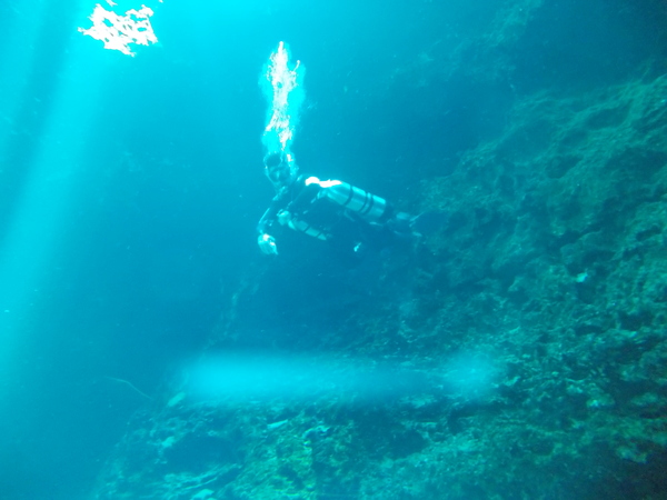Dayo Scuba Center LLC, Orlando Florida www.dayo.com