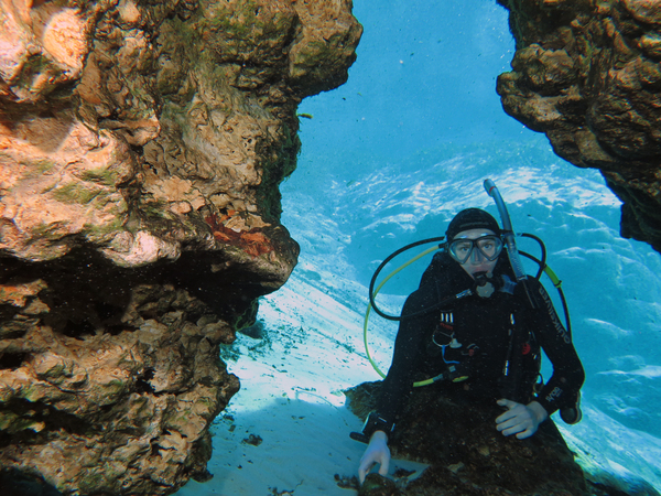 Dayo Scuba Center LLC, Orlando Florida www.dayo.com