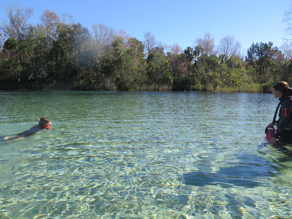 Dayo Scuba Center LLC, Orlando Florida www.dayo.com
