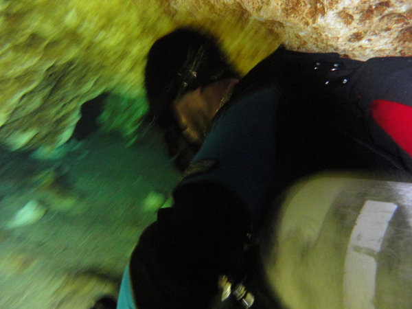 Dayo Scuba Center LLC, Orlando Florida www.dayo.com