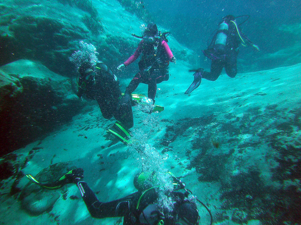 Dayo Scuba Center LLC, Orlando Florida www.dayo.com