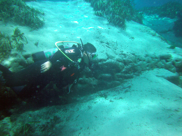 Dayo Scuba Center LLC, Orlando Florida www.dayo.com