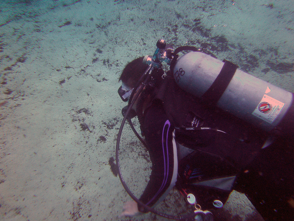 Dayo Scuba Center LLC, Orlando Florida www.dayo.com