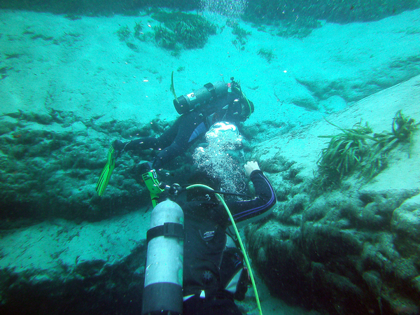 Dayo Scuba Center LLC, Orlando Florida www.dayo.com