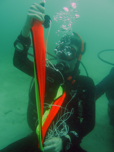 Dayo Scuba Center LLC, Orlando Florida www.dayo.com