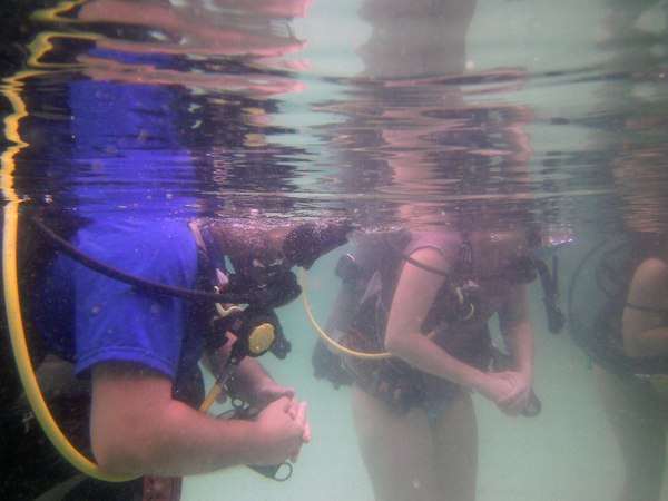 Dayo Scuba Center LLC, Orlando Florida www.dayo.com