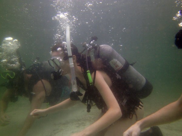 Dayo Scuba Center LLC, Orlando Florida www.dayo.com