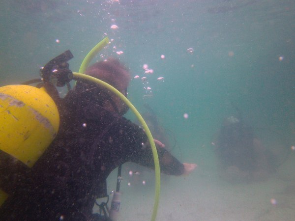 Dayo Scuba Center LLC, Orlando Florida www.dayo.com