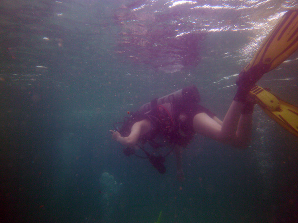 Dayo Scuba Center LLC, Orlando Florida www.dayo.com