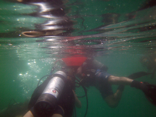 Dayo Scuba Center LLC, Orlando Florida www.dayo.com