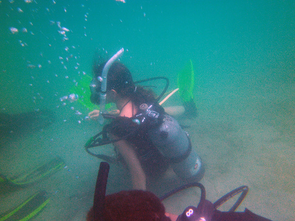 Dayo Scuba Center LLC, Orlando Florida www.dayo.com