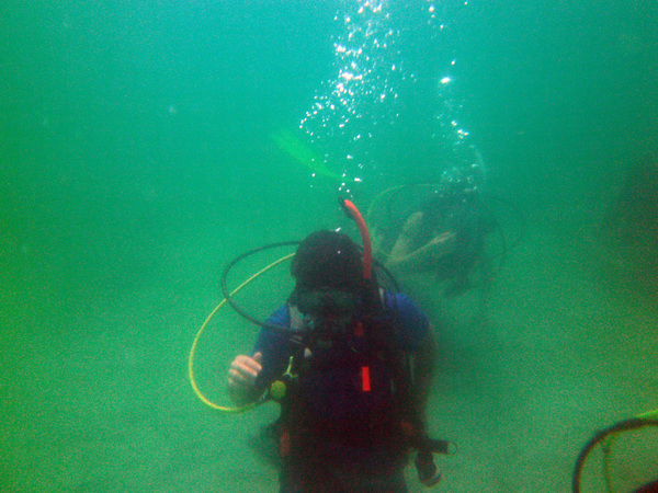 Dayo Scuba Center LLC, Orlando Florida www.dayo.com