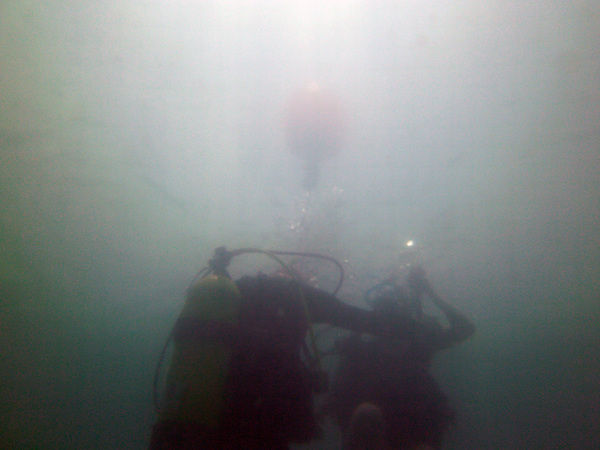 Dayo Scuba Center LLC, Orlando Florida www.dayo.com