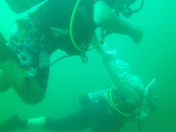 Dayo Scuba Center LLC, Orlando Florida www.dayo.com