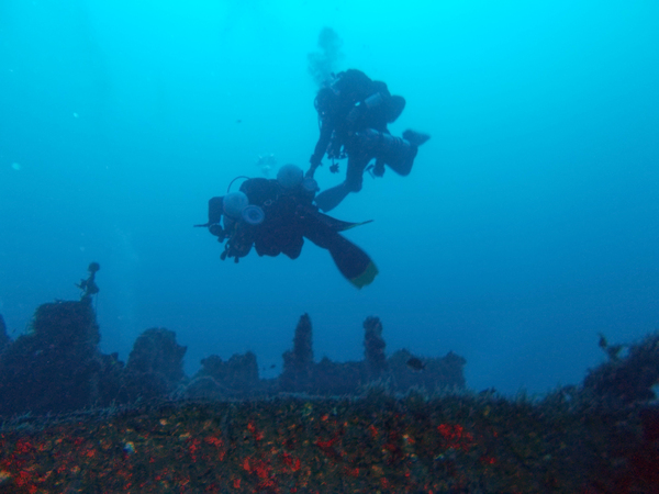 Dayo Scuba Center LLC, Orlando Florida www.dayo.com