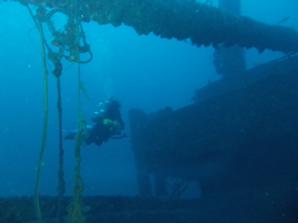 Dayo Scuba Center LLC, Orlando Florida www.dayo.com