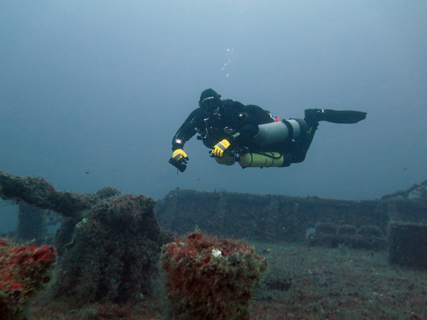 Dayo Scuba Center LLC, Orlando Florida www.dayo.com
