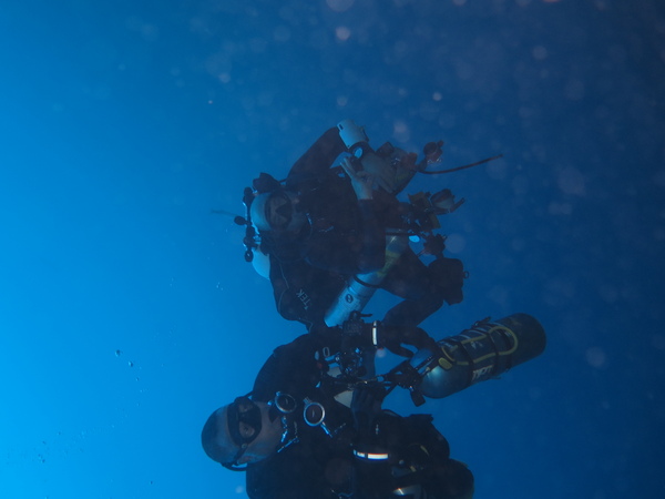 Dayo Scuba Center LLC, Orlando Florida www.dayo.com