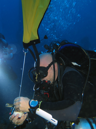 Dayo Scuba Center LLC, Orlando Florida www.dayo.com