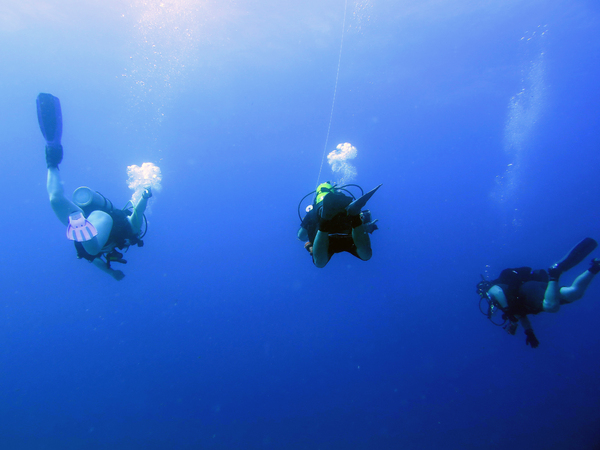 Dayo Scuba Center LLC, Orlando Florida www.dayo.com